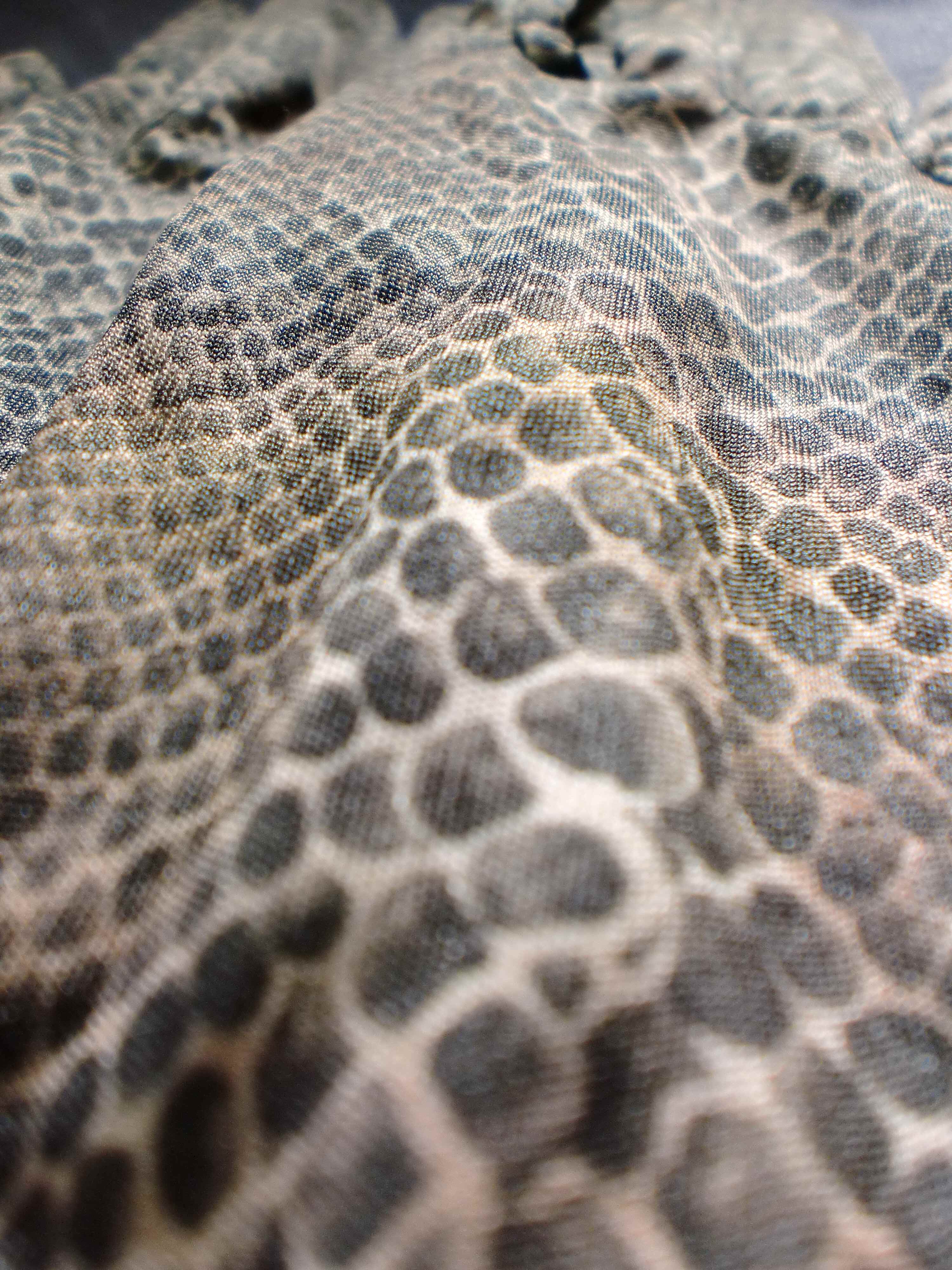 2011_1126_132818-cimg00233