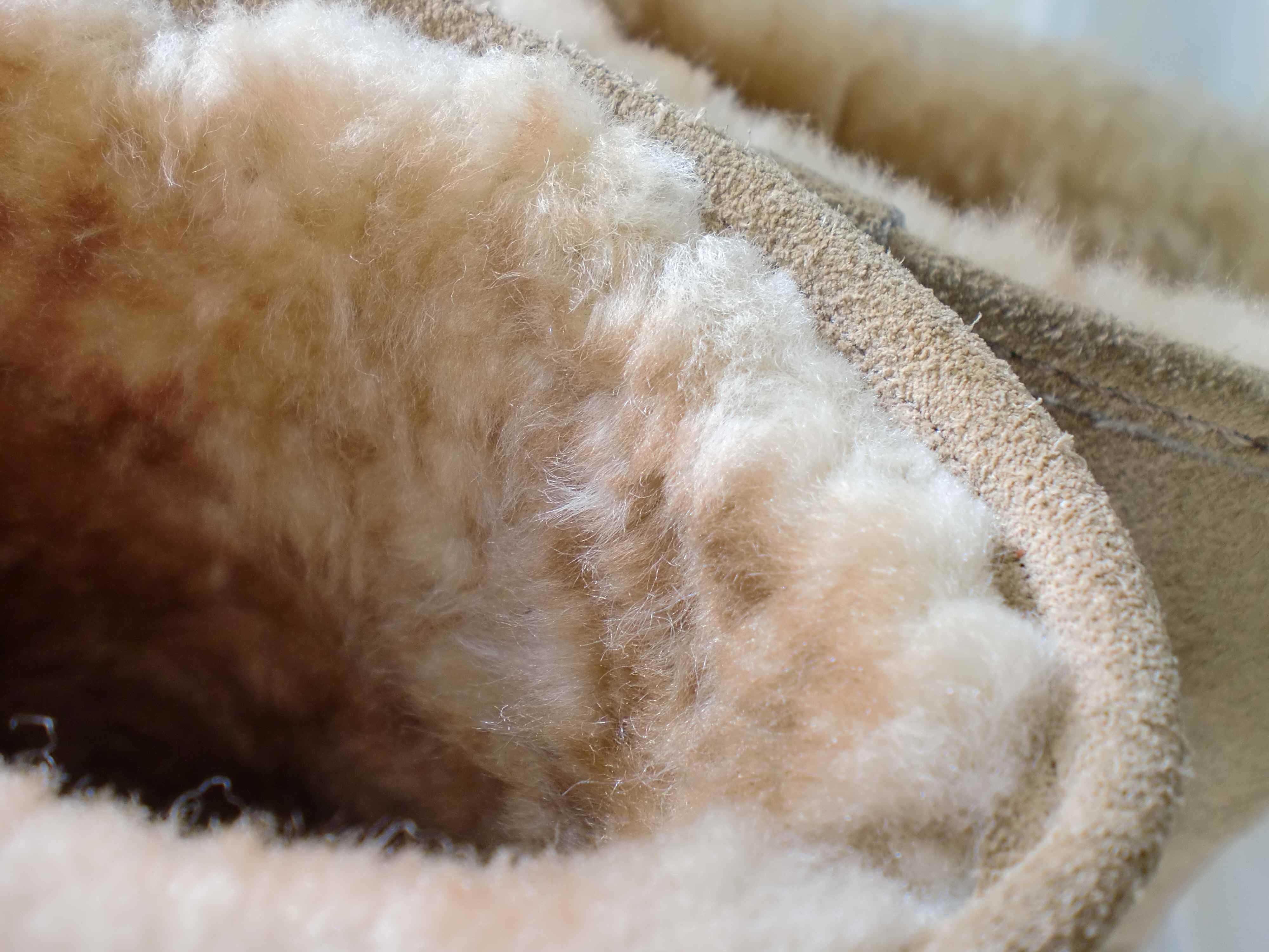 2011_1210_094118-cimg00044